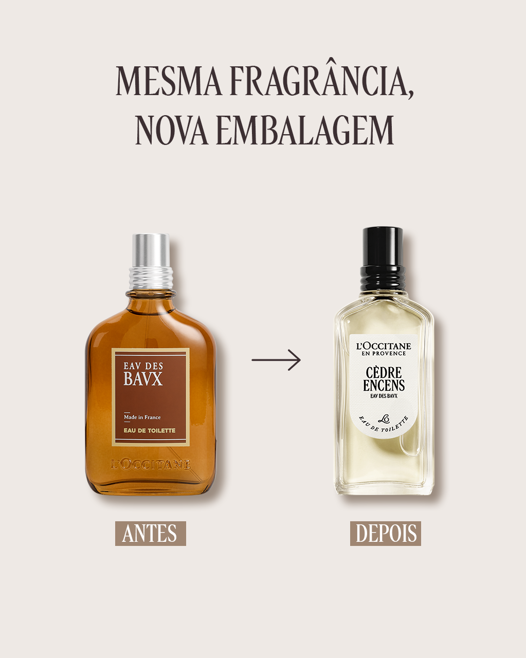 Eau de Toilette Cèdre Encens 50mL | L'Occitane en Provence